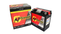 Аккумулятор Banner Bike Bull 14 Ач YTX16-BS (51422)