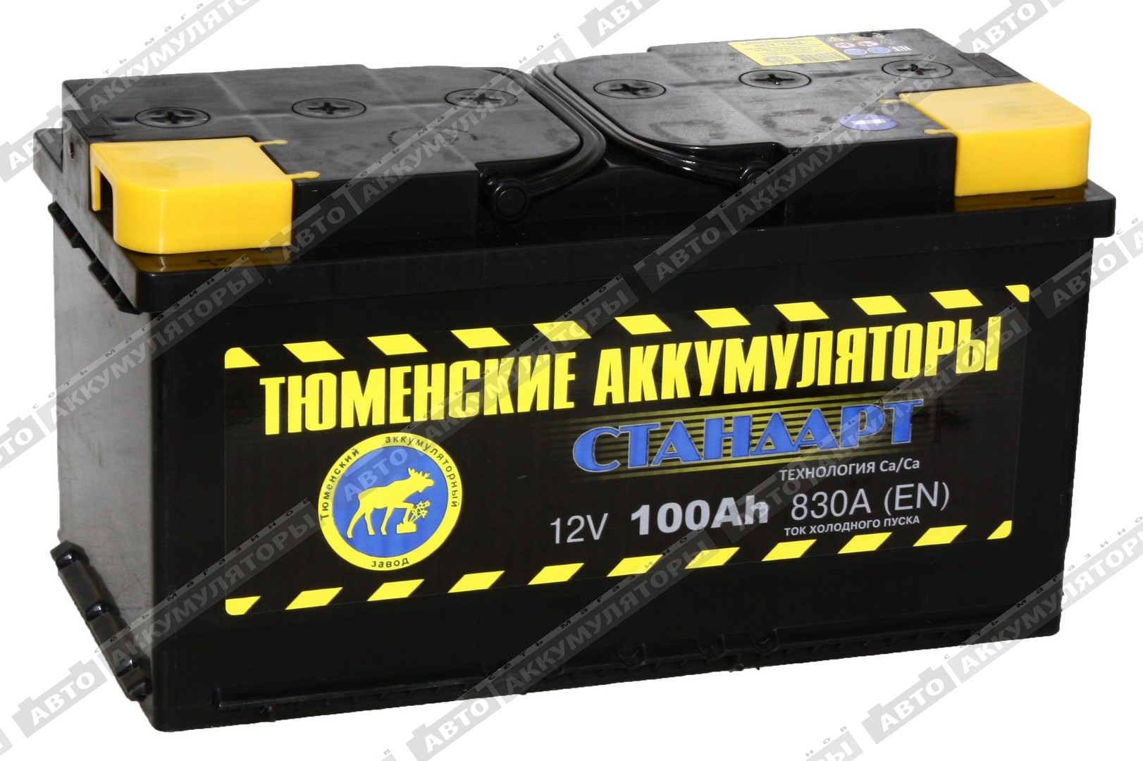 Тюмень 6СТ-100.1L Standard