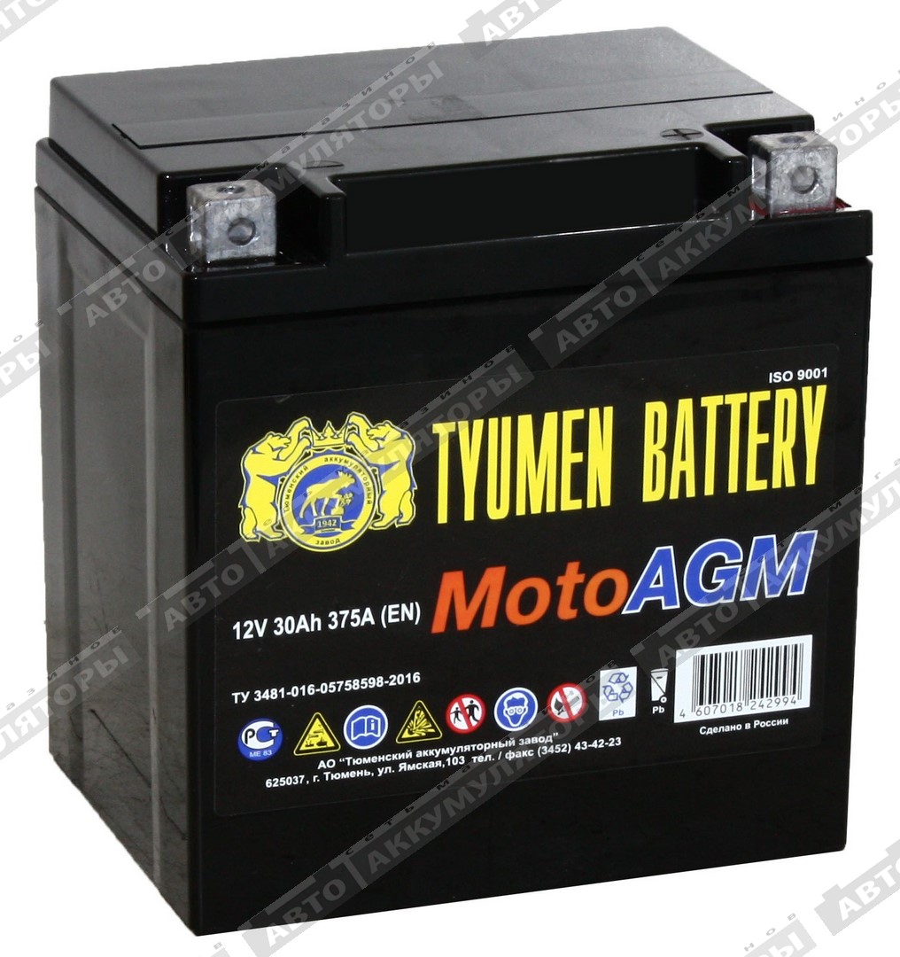 Тюмень 6МТС-30 AGM (YTX30L-BS)