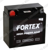 Аккумулятор Fortex 10 Ач VRLA 1210 (12N9-3B)