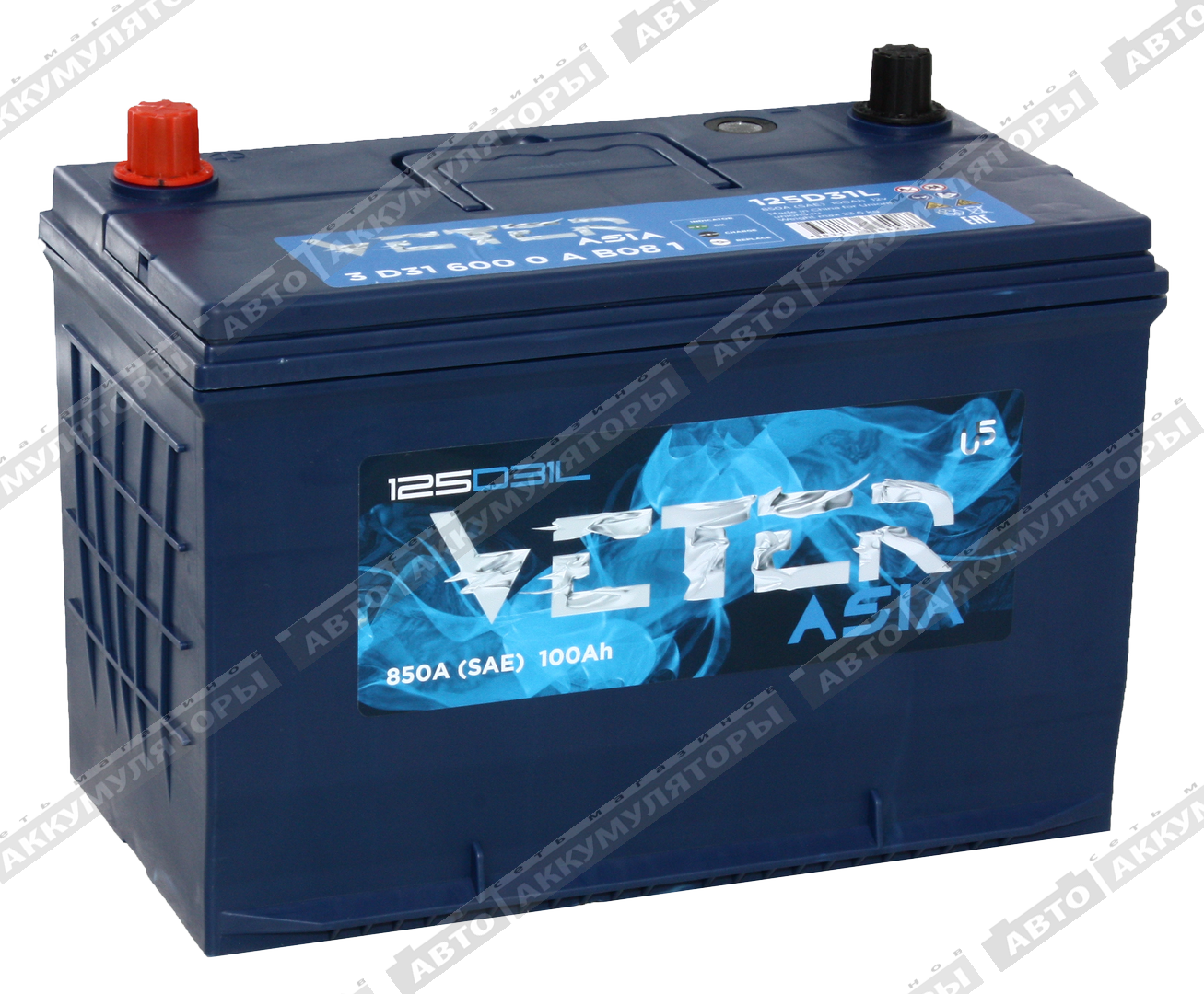 Veter NEW ASIA 6СТ-100.0 VL (125D31FL)