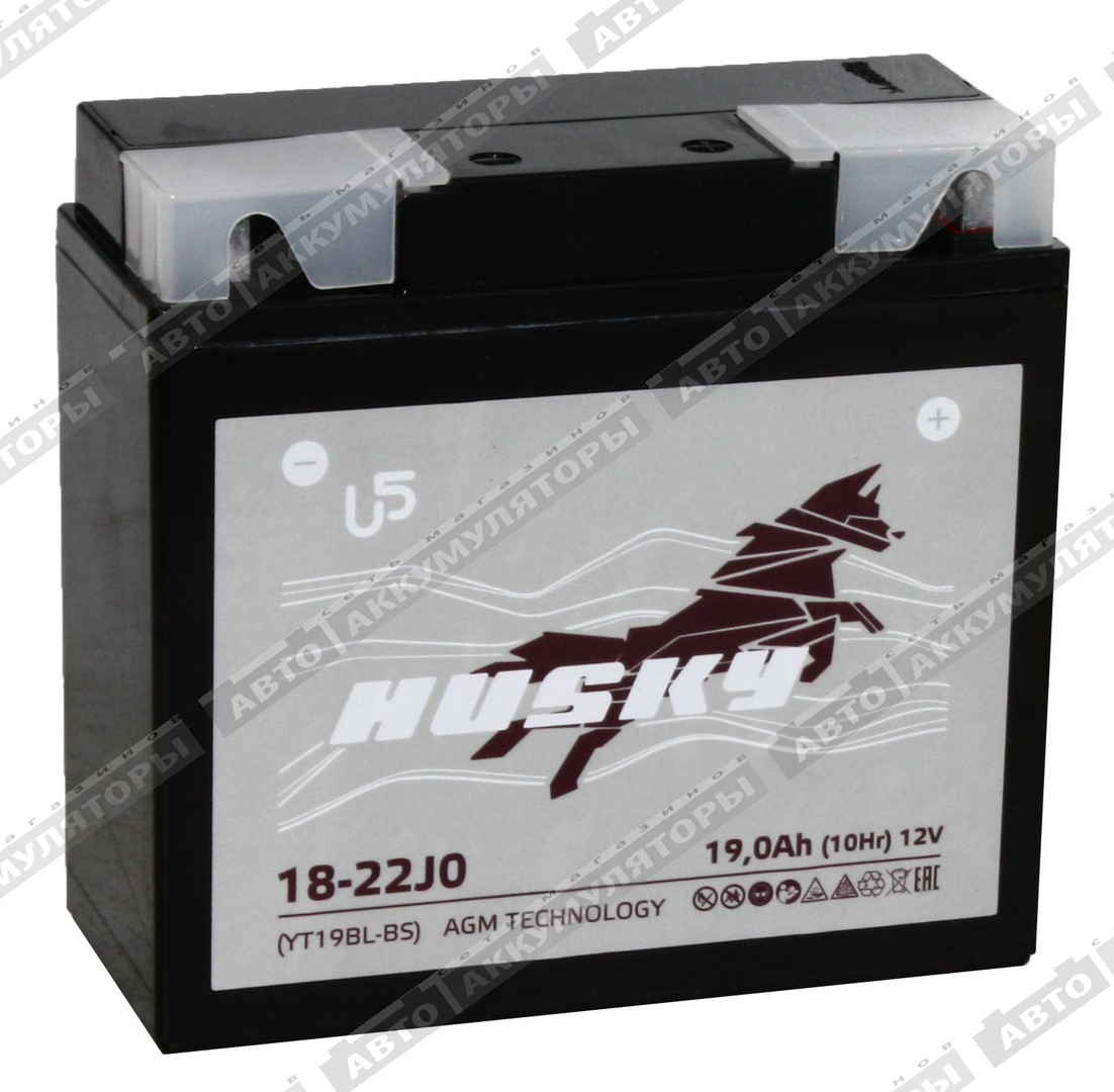 Husky 18-22J0 (CT 1220.1, YT19BL-BS, BMW)